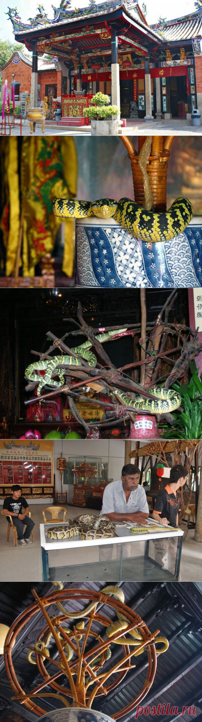 Змеиный Храм: священная обитель для пресмыкающихся (Малайзия) - Путешествуем вместе