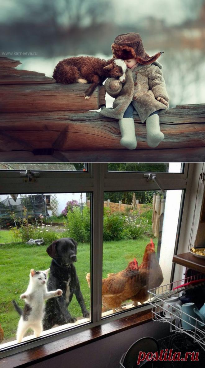 Лучшие фотографии месяца