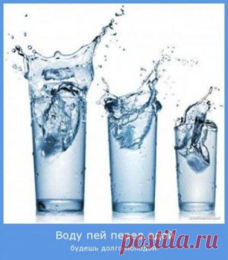 Все об оружии