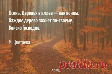 Смотрит осень в мои глаза...