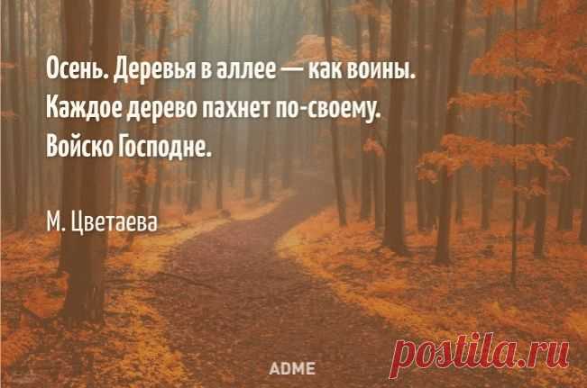 Смотрит осень в мои глаза...