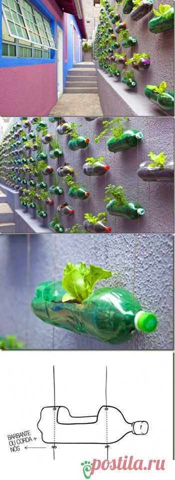 30 Vertical Wall Planter Pots Ideas