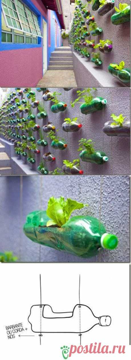 30 Vertical Wall Planter Pots Ideas