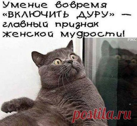 Утром по дороге на работу я бросил взгляд из машины на левый ряд и увидел женщину... 
Сидит мужик и думает: «Вчера было плохо, сегодня — плохо, завтра тоже будет плохо… Неужели стабильность наступила?»

Иногда открываю шкаф, долго смотрю в него и понимаю, что две трети одежды я держу …