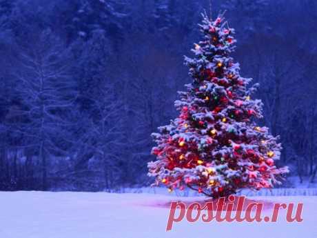 Новогодние гадания 2016