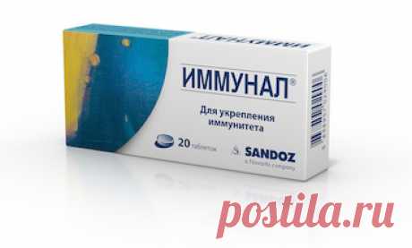 Иммунал - натуральный препарат для повышения иммунитета у детей и взрослых, современный природный иммуномодулятор. Состав, свойства Иммунала, отзывы о препарате