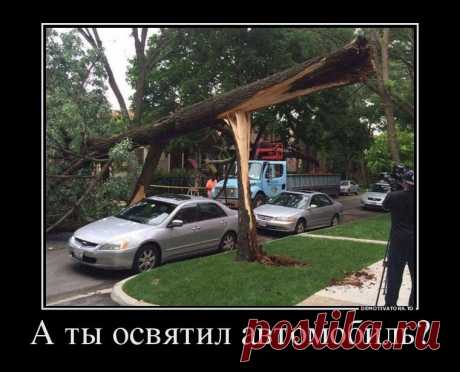 Изумительные Демотиваторы / Писец - приколы интернета