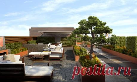 Aralia Garden Design - Award-winning exterior design in Bishops Stortford, Herts, Essex and Cambridgeshire.