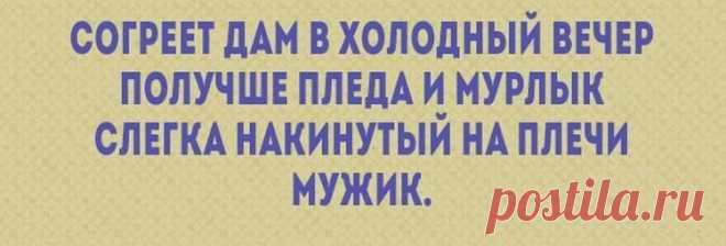 Короткие и веселые стишки, которые поднимут вам настроение