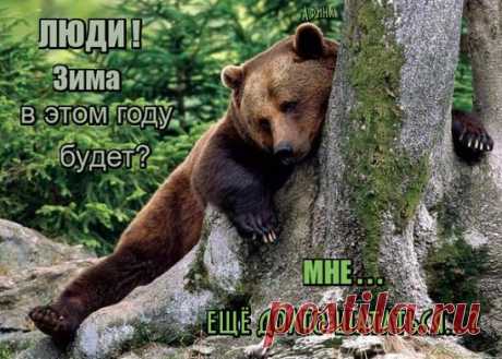 Диалоги