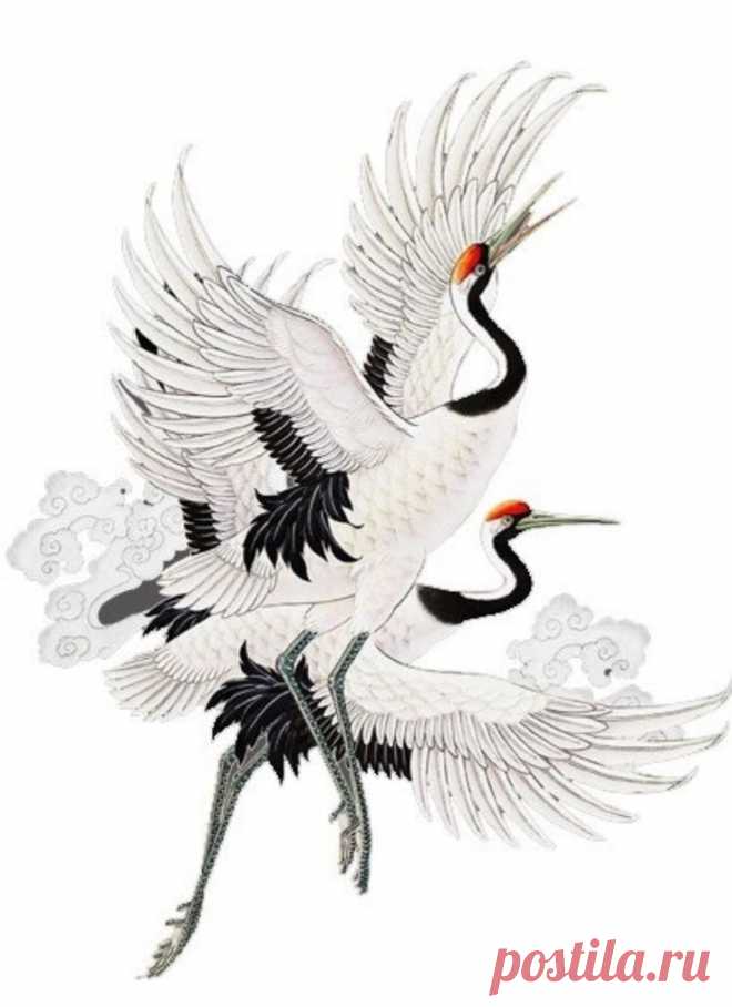 Гравировка. Эскиз. Японские аисты.