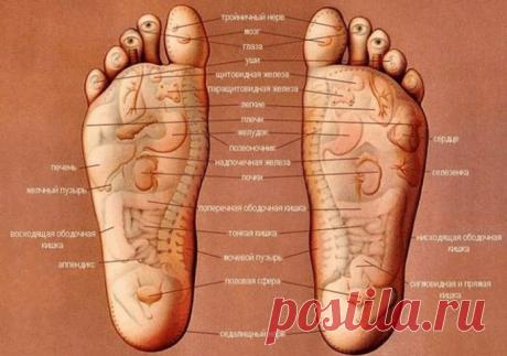 Теперь я всегда буду массировать стопы перед сном! Простой секрет долголетия и молодости