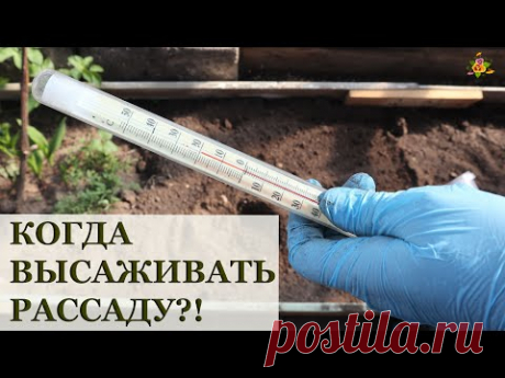 КОГДА ВЫСАЖИВАТЬ РАССАДУ?
