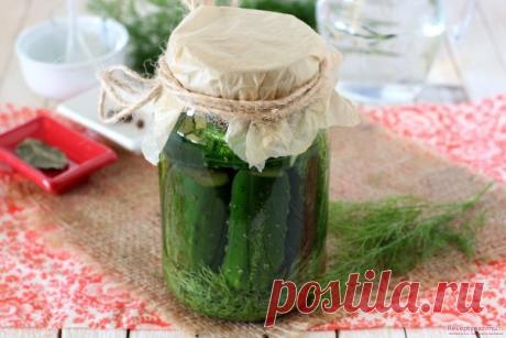 Хрустящие малосольные огурцы в банке — Sloosh – кулинарные рецепты