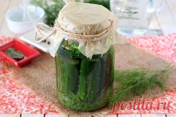Хрустящие малосольные огурцы в банке — Sloosh – кулинарные рецепты