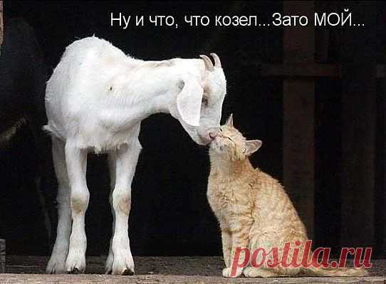 Женский портал ХОЧУ
