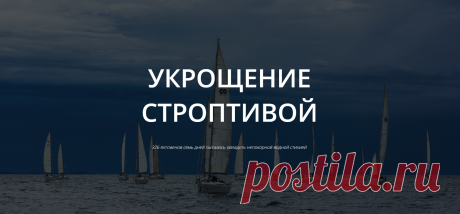Укрощение строптивой. Семь дней, которые длилась 20-я, юбилейная регата, участники провели так, что не остается сомнений: быть яхтсменом — круто. Весь период гонки экипажи останавливались в красивейших гаванях Хорватии: стартовали и финишировали в Каштеле, посетили острова Шолта и Брач, гавань Фрапа и старинный городок Трогир, который официально находится под защитой ЮНЕСКО. В общей сложности экипажи преодолели на яхтах более 100 миль.