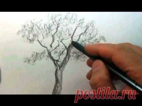 КАК научиться РИСОВАТЬ. Рисуем ДЕРЕВО карандашом #1