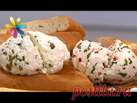 Адыгейский сыр: рецепт поэтапно сырных ролов – Все буде добре. Выпуск 923 от 30.11.16