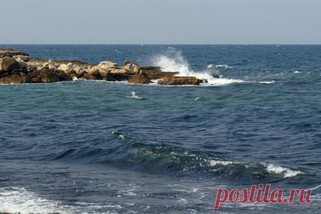 (52) Одноклассники