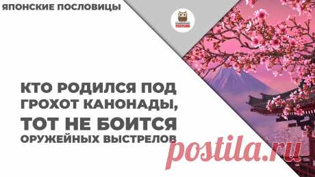 Кто родился под грохот канонады, тот не боится оружейных выстрелов

#KONSPEKTYNET #Цитаты #Высказывания #Афоризмы #Мудрость #Япония #ЯпонскиеПословицы #ЯпонскаяМудрость #НароднаяМудрость