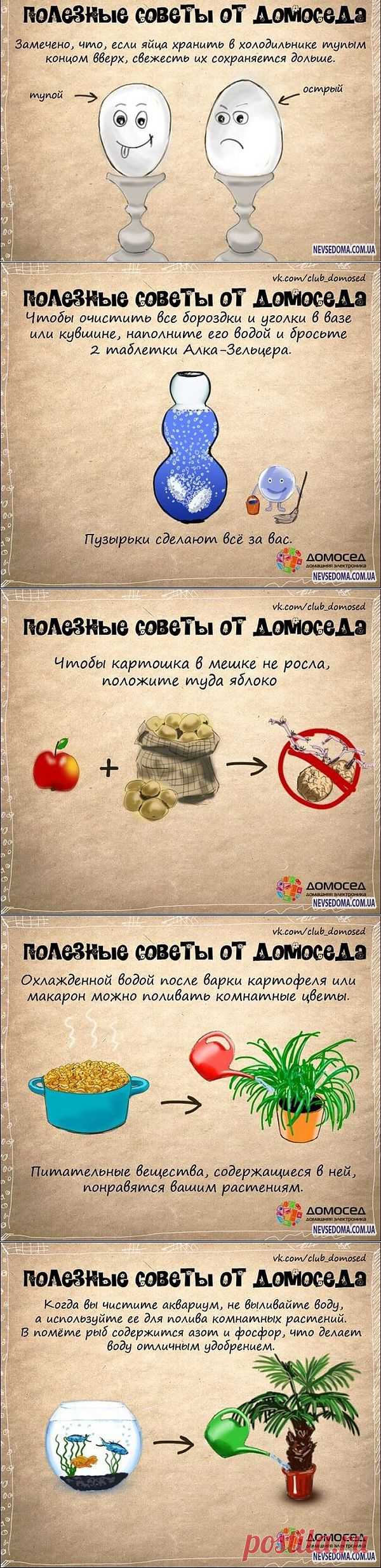 Бытовые советы на заметку (19 картинок)