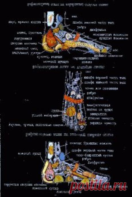 Китайская медицина. Атлас активных точек.  Лечебный самомассаж.