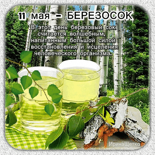 С Березосоком! Здоровья, ясного неба и добрых вестей! Открытки на Березосок!
