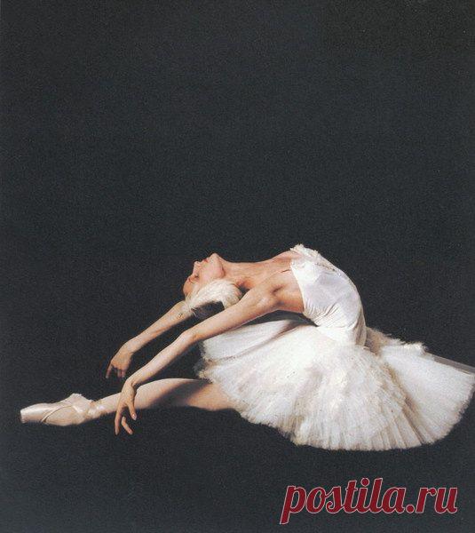 Svetlana Zakharova ~ Swan Lake (Bolshoi Ballet)  |  Найдено на сайте ballerinagallery.com.