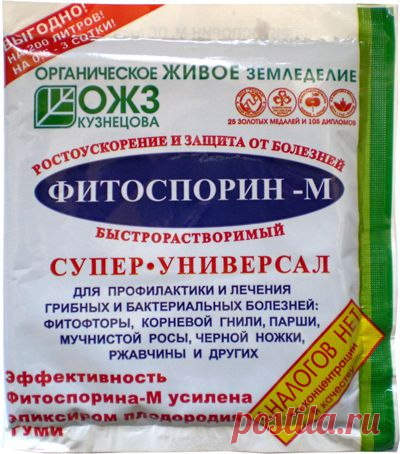 чем обработать землю после фитофторы: 126 изображений найдено в Яндекс.Картинках