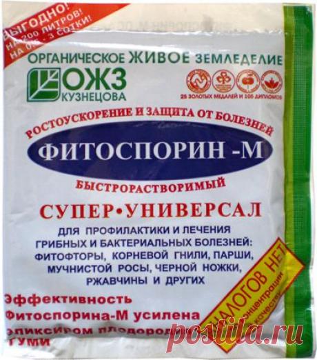 чем обработать землю после фитофторы: 126 изображений найдено в Яндекс.Картинках