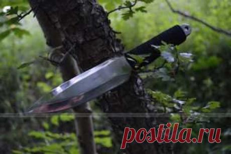 Метательные ножи - Нож Витязь &quot;Акула&quot;