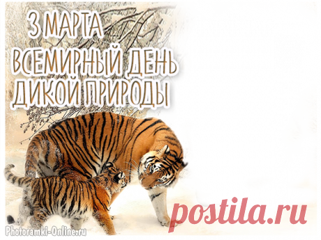 Всемирный день дикой природы,
Торжественно вас поздравляю.
И от плохого вмешательства,
Я вам воздержаться желаю.
