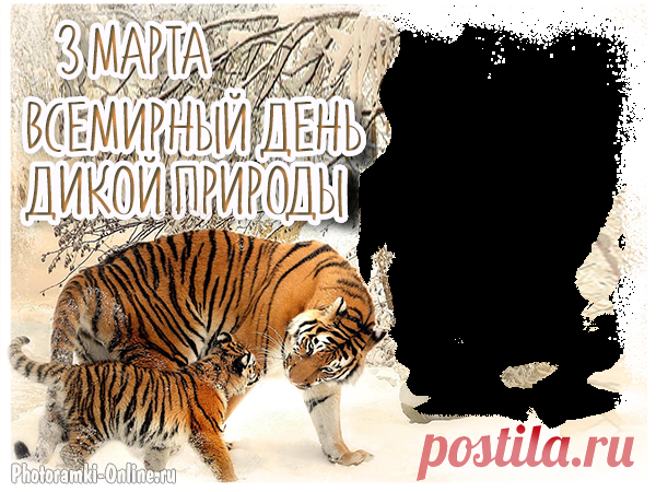 Всемирный день дикой природы,
Торжественно вас поздравляю.
И от плохого вмешательства,
Я вам воздержаться желаю.
