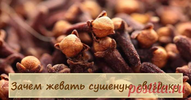 Польза сушеной гвоздики — Домашний уют
