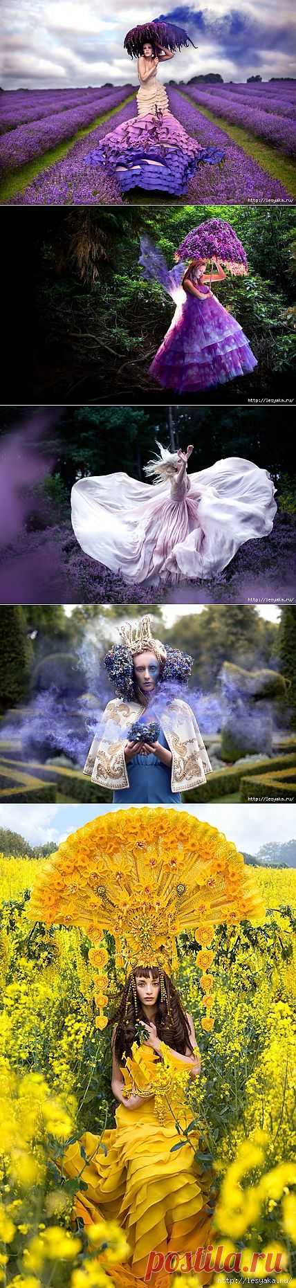 Волшебная Страна Чудес в фотографиях Кирсти Митчел.