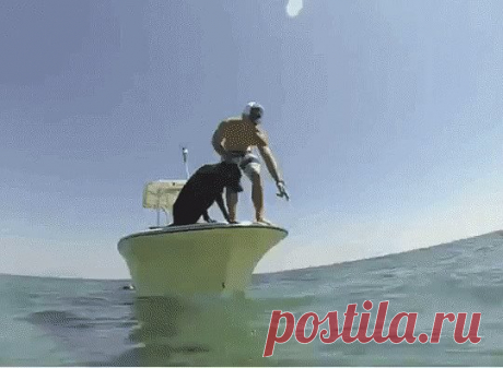 (1) Одноклассники