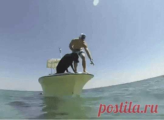 (1) Одноклассники