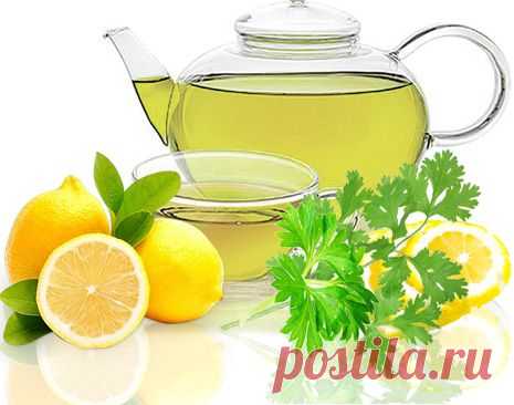 13 РЕЦЕПТОВ ДЛЯ ПОХУДЕНИЯ С ПЕТРУШКОЙ — Диеты со всего света