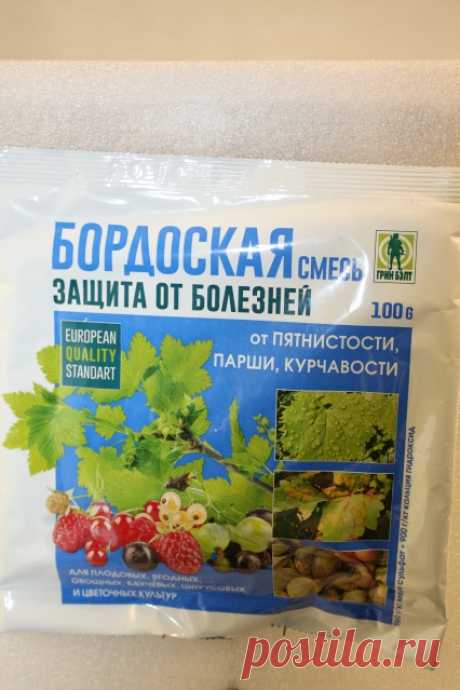 Весенняя обработка сада от вредителей и болезней - Садоводка