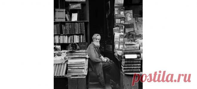 Липовый король // Jewish.Ru — Глобальный еврейский онлайн центр