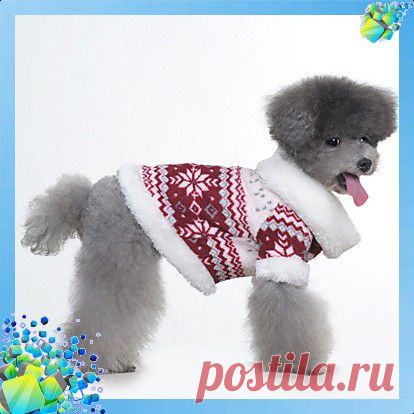 Пальто для собаки