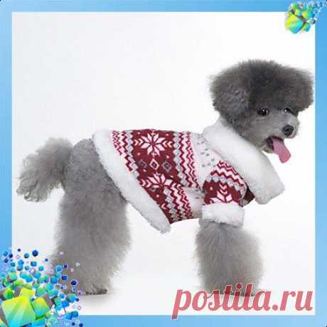 Пальто для собаки