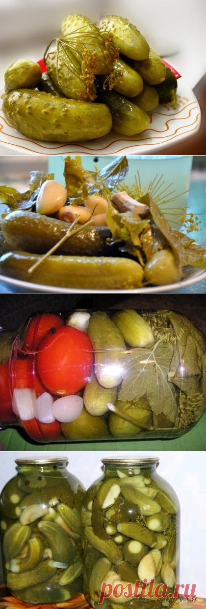 Засолка огурцов