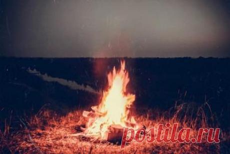 6 апреля — Артемон — дери полоз