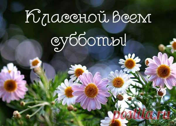 с субботой открытки - Поиск в Google
