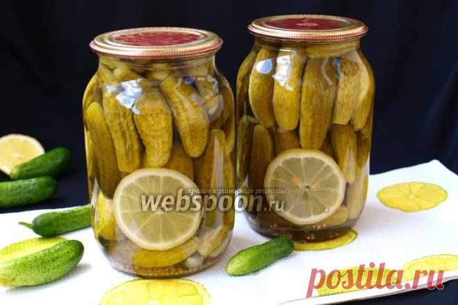 Маринованные огурцы «Пражские»  «Пражские» Маринованные огурцы 
У нас в этом сезоне хороший урожай огурцов. Мне их передают уже три недели подряд и я понемногу закрываю. Решила заготовить по новому рецепту несколько баночек. Давно пробовала такие огурцы в гостях, помню что понравились, но до консервирования тогда дело не дошло. Сейчас, видимо, пришло время. Со своих пробу уже буду снимать осенью, а пока делюсь с вами рецептом.