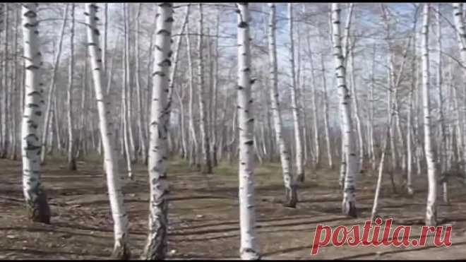 Михаил Ножкин 