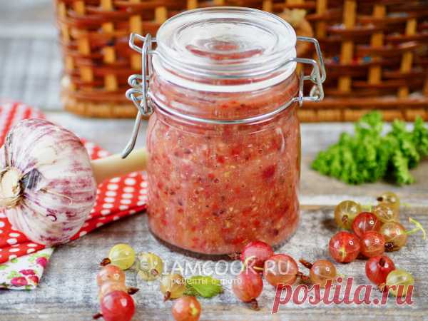 Аджика из крыжовника — рецепт с фото Для аджики лучше всего использовать кислые сорта крыжовника или кисло-сладкие, я предпочитаю розовый - у него приятный кисло-сладкий вкус...