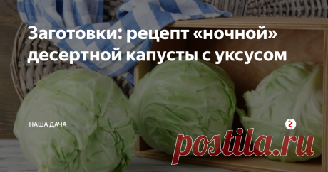 Заготовки: рецепт «ночной» десертной капусты с уксусом Почему «ночной»? Потому что готовится всего одну ночь. А съедается еще быстрее – вкусная, хрустящая, сладкая  на вкус, с кисленьким послевкусием. Такая капуста очень пикантна и нравится всем без исключения. Сейчас сезон капусты, и даже если вы не сажали нынче белобокую красавицу, то в этом случае можно легко пополнить запасы: осенние ярмарки буквально завалены упругими красивыми кочанами.